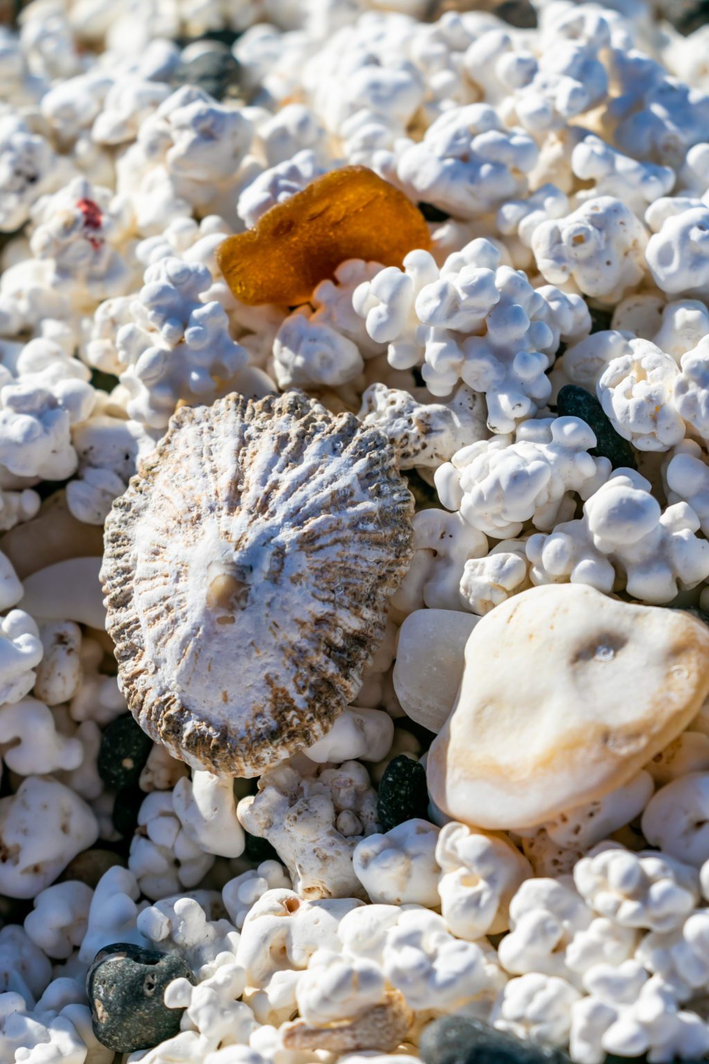 Popcorn Beach The Story of a Beach That Went Viral TravelMedia.ie